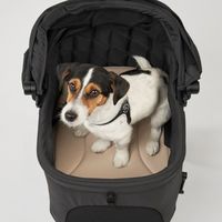 エアバギー ペット用 ペットキャリー WIZ X 専用マット ライトグレー 1枚 GMPインターナショナル