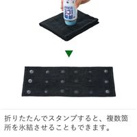 LOGOS 瞬間アイススタンプ 81336860 1セット（1本×2） LOGOS/ロゴス