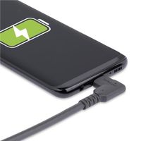 Startech.com USB Type-Cケーブル 2m 4K60Hz 100PD RUSB315CC2MBR 1個（直送品）