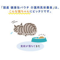 健康缶 介護用 高栄養食 スプーンで与えるまぐろペースト 国産 30g 6袋 アイシア キャットフード 猫用 パウチ