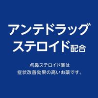 ナザールαAR0.1％C＜季節性アレルギー専用＞ 10ml 佐藤製薬 ナザール 鼻炎スプレー 花粉症 鼻炎薬 点鼻薬【指定第2類医薬品】
