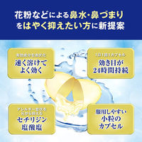 ストナリニZジェル 24カプセル 佐藤製薬 セチリジン塩酸塩 鼻炎薬 花粉などによる鼻のアレルギー症状の緩和【第2類医薬品】