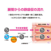 エミネトン  80錠  3箱セット 佐藤製薬  増血薬 鉄剤 鉄欠乏 貧血 妊娠時の貧血 虚弱児 腺病質児 発育不良児 増血【第2類医薬品】