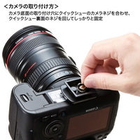 サンワサプライ マルチスタンド(4段タイプ) DG-CAM22N 1個