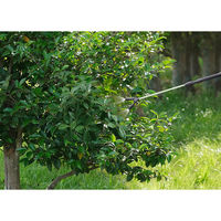 アイリスオーヤマ 電池式噴霧器 ツインノズル ダークグレー IR-4W 1台