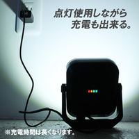 木村 ハイブリット式投光器 2600LM GTR2600 1個（直送品）