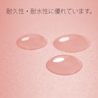 プラス PP製 フラットファイル 年組氏名 A4 タテ ピンク 79498 1冊