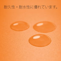 プラス PP製 フラットファイル 年組氏名 A4 タテ オレンジ 79490 1冊