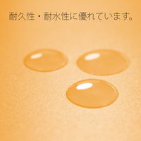 プラス PP製 フラットファイル 年組氏名 A4 タテ イエロー 79497 1冊