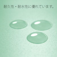 プラス PP製 フラットファイル 年組氏名 A4 タテ ブルー 79495 1袋(10冊入)