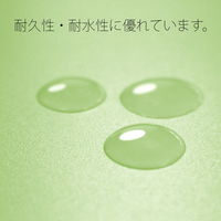 プラス PP製 フラットファイル 年組氏名 A4 タテ グリーン 79496 1袋(10冊入)