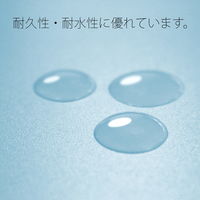 プラス PP製 フラットファイル 年組氏名 A4 タテ ロイヤルブルー 79491 1箱(1袋(10冊入)×10)