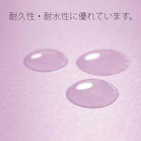 プラス PP製 フラットファイル 年組氏名 A4 タテ バイオレット 79492 1袋(10冊入)