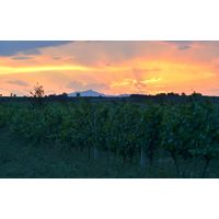 北マケドニア共和国 サンセット ヴァレー 赤ワイン　フルボディ　750ml 1本　東京オペラ