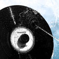 ナガオカ CLP02LP レコードラベル保護プロテクター CLP02 1個