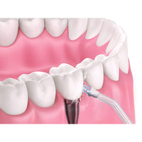 【口腔洗浄器】 ライソン 口腔洗浄器 水ようじ KSHL-001L 1台