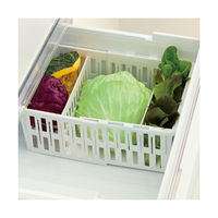 リッチェル トトノ 野菜・冷凍室用 伸縮ストッカー深型 レギュラー 236893 1個