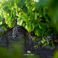 ジェイコブス・クリーク オーガニック シラーズ・カベルネ オーストラリア 赤ワイン ミディアムボディ 750ml 1本 ペルノ・リカール