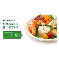 パックスタイル バガス容器 新BB楕円プレート 250-190 00709947 1袋(50枚)