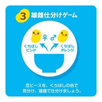 アイアップ NEW はじめてのマナー豆 おおつぶ 1個