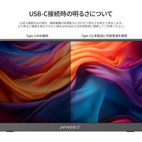 ジャパンネクスト  17.3インチ 4K モバイルディスプレイ(3840x2160/IPS) JN-MD-IPS1732UHDR（直送品）