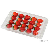 エフピコチューパ フルーツ容器 STR-GHP.8H CP007400 1ケース(300個(50個×6)（直送品）