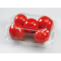 エフピコチューパ フルーツ容器 APクリアルーフM 10H CP003715 1袋(50個)（直送品）