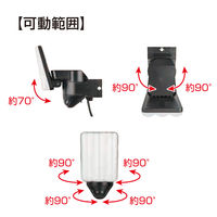 大進 人感 センサーライト AC 100V コンセント式 屋外用 1灯式 LED 防雨 防犯ライト DLA-17T100 1台（直送品）