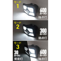 大進 人感 センサーライト ソーラーライト 屋外 防雨 LED DLS-WL009 1台（直送品）