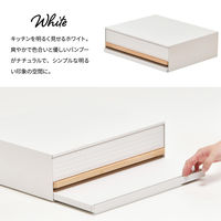 【軒先渡し】B.Bファニシング TREE 家電下引き出し収納スライドテーブル ホワイト TRKS0243KIWHT 1台（直送品）