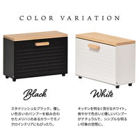 【軒先渡し】B.Bファニシング TREE マグネットマルチストッカー 幅275×奥行115×高さ245mm TRKS0245KIBLK 1台（直送品）