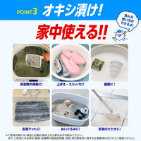 オキシクリーン 500g 粉末 酸素系漂白剤 無香料 1個 界面活性剤不使用 塩素不使用 消臭 洗濯 掃除