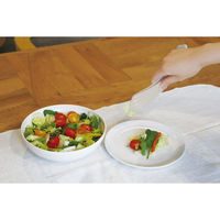 錦化成 スヌーピー オカズトング BE 4460203 1本（直送品）