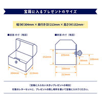 東具 ギフトボックス【宝箱】 モンスター Mサイズ GT-MR-MS1A-H 1個（直送品）