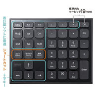 サンワサプライ 表計算ワイヤレステンキー NT-WL27BK 1個