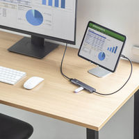 サンワサプライ USB Type-C ドッキングハブ USB-5TCHCP17GM 1個