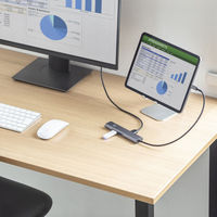 サンワサプライ  USB Type-C ドッキングハブ USB-5TCHLP16GM（直送品）