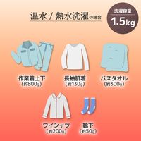 サンコー タテ型温水/熱水洗濯機「ニオイウォッシュ」 MHTWSHSWH 1台（直送品）