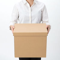 アスクル　ダンボール収納ボックス（組立式）　L　無地　段ボール オリジナル（わけあり品）