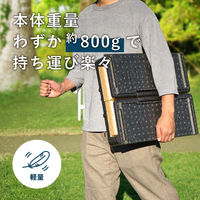 石山 折りたためるクーラーボックス ブラウン(蓋)×オフブラック(本体) 4546516100200 1個