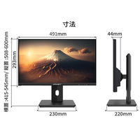 JAPANNEXT 21.5インチ液晶モニター 上下昇降機能/画面回転機能 JN-I215F-HSP 1台