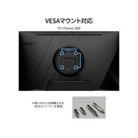 JAPANNEXT 23.8インチ液晶モニター 上下昇降機能/画面回転機能 JN-I238FR-HSP 1台