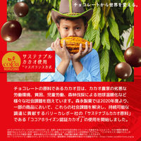 チョコレート 個包装 カレ・ド・ショコラ カカオ70 18枚入 1セット（1個×6）