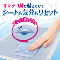 （お得なセット）ペットシーツ デオシート しっかり超吸収 ワイド 54枚 1袋 ＋ キレイパッド Mサイズ 64枚 1個