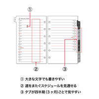 マルマン 【2025年版】リフィル ミニ データプラン 6穴 月間ダイアリー(見開き1ヶ月) LS472-25 1セット(1冊×2)（直送品）