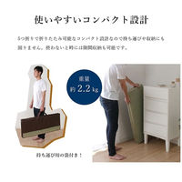 い草 ユニット 畳 軽量 抗菌防臭 消臭 防音 断熱性 お手入れ『畳マットレス』 1040130011014 1枚