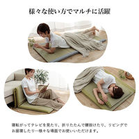 イケヒコ・コーポレーション 寝具 マット マットレス い草 国産 日本製 ボリューム 吸汗 調湿『すずか』 1122960123501 1枚（直送品）