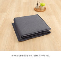 イケヒコ・コーポレーション クッション フリーシート ベンチシート 無地 国産『ループ』 1211810190501 1枚（直送品）