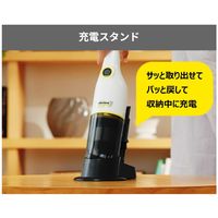 ケルヒャー ハンディクリーナー CVH 3 PLUS 1.198-423.0 1台