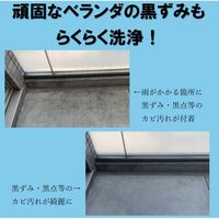 カビ落とし カビ取りキング500ml 4595317487034 1セット(1個×6)